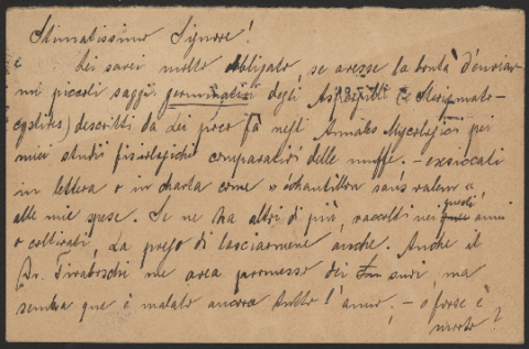 Anteprima dell'oggetto