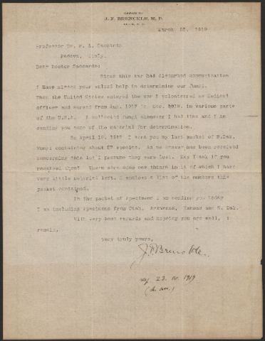 Anteprima dell'oggetto