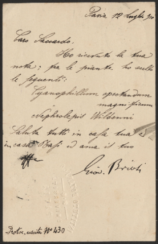 Anteprima dell'oggetto