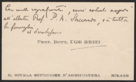 Anteprima dell'oggetto