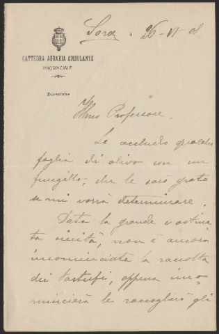 Anteprima dell'oggetto