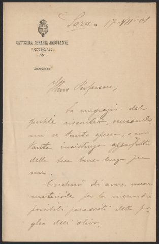 Anteprima dell'oggetto