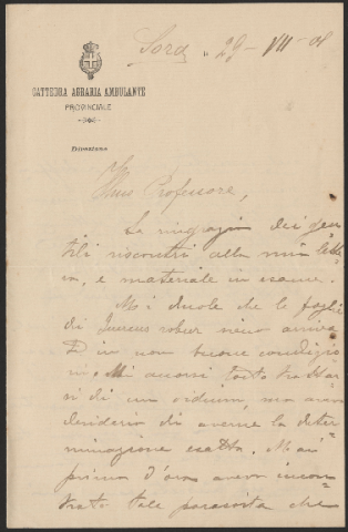 Anteprima dell'oggetto