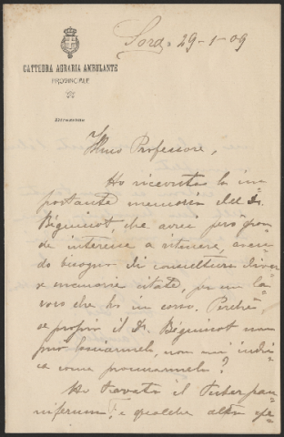 Anteprima dell'oggetto