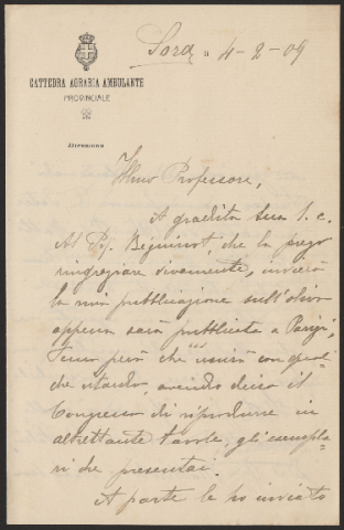 Anteprima dell'oggetto