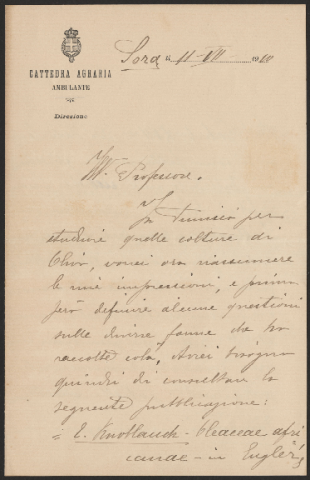 Anteprima dell'oggetto