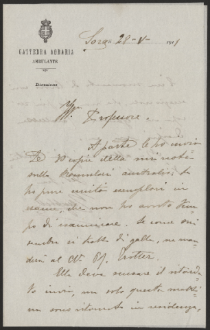 Anteprima dell'oggetto