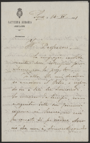 Anteprima dell'oggetto