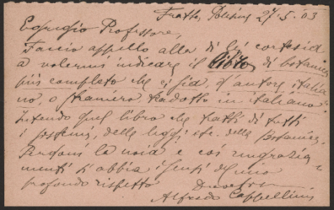 Anteprima dell'oggetto