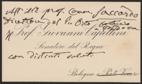 Anteprima dell'oggetto