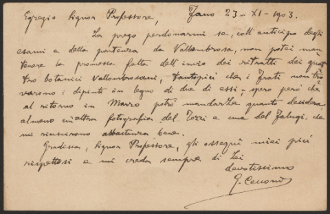 Anteprima dell'oggetto