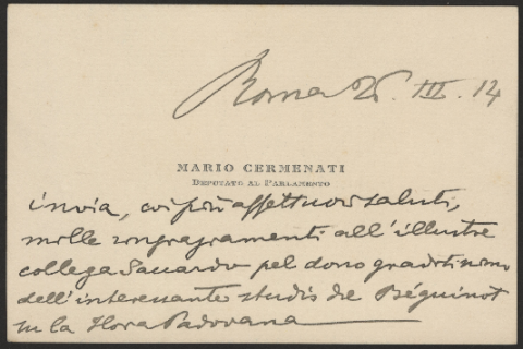 Anteprima dell'oggetto