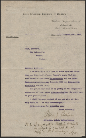 Anteprima dell'oggetto