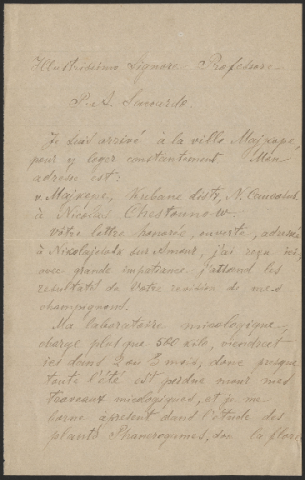 Anteprima dell'oggetto