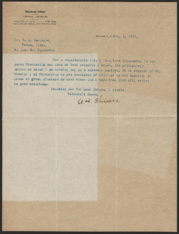 Anteprima dell'oggetto