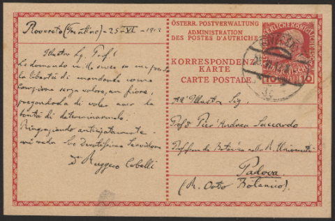 Anteprima dell'oggetto