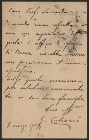 Anteprima dell'oggetto