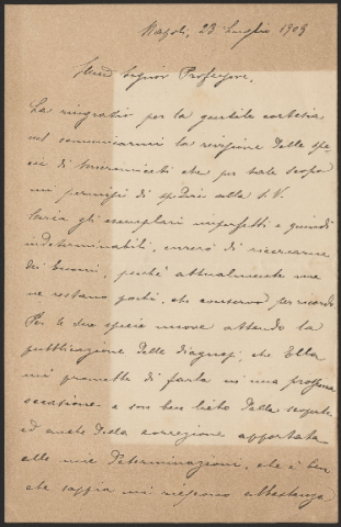 Anteprima dell'oggetto