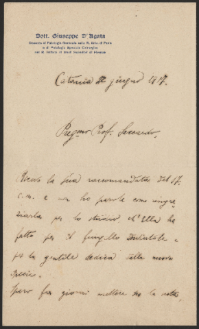 Anteprima dell'oggetto