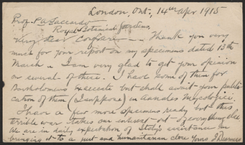 Anteprima dell'oggetto