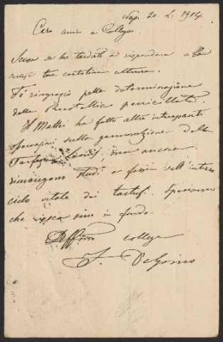 Anteprima dell'oggetto