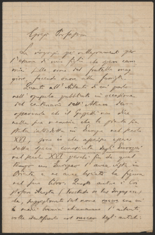 Anteprima dell'oggetto