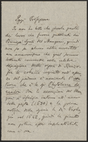 Anteprima dell'oggetto