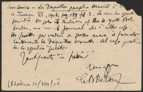 Anteprima dell'oggetto