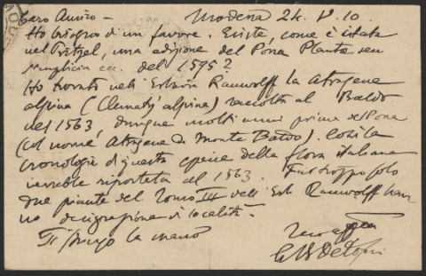 Anteprima dell'oggetto