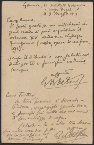 Anteprima dell'oggetto