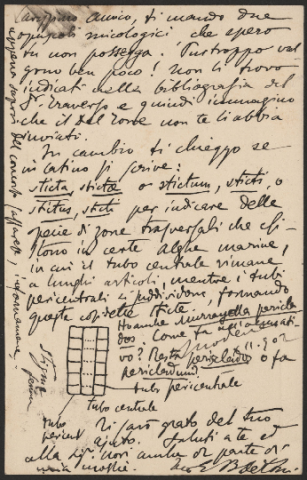 Anteprima dell'oggetto