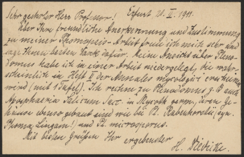 Anteprima dell'oggetto