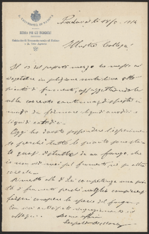 Anteprima dell'oggetto