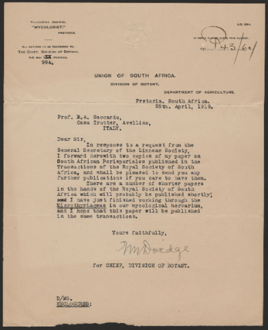 Anteprima dell'oggetto