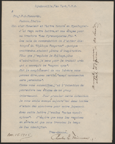 Anteprima dell'oggetto