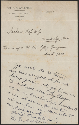 Anteprima dell'oggetto