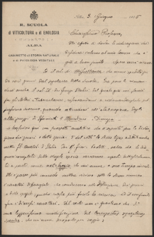 Anteprima dell'oggetto