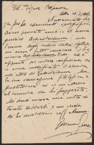 Anteprima dell'oggetto