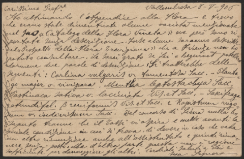 Anteprima dell'oggetto