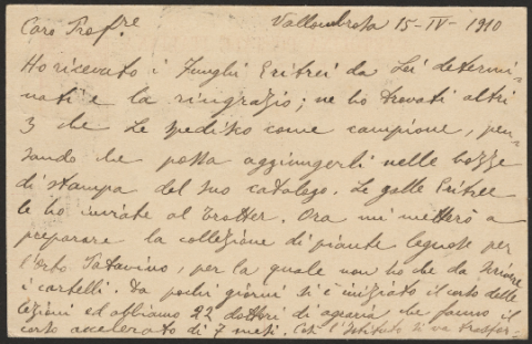 Anteprima dell'oggetto