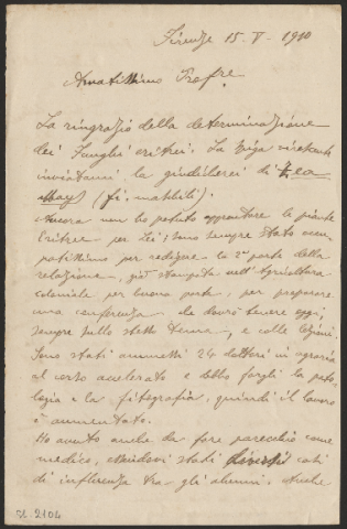 Anteprima dell'oggetto