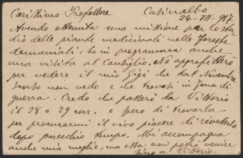 Anteprima dell'oggetto