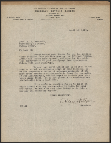 Anteprima dell'oggetto