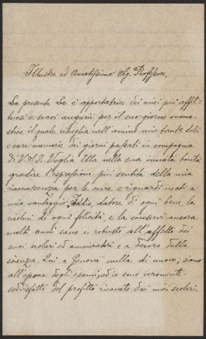 Anteprima dell'oggetto