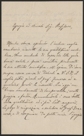 Anteprima dell'oggetto