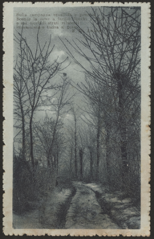 Anteprima dell'oggetto