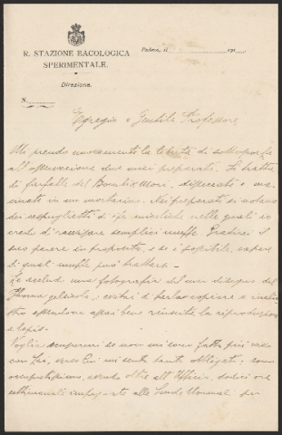 Anteprima dell'oggetto