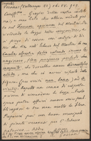 Anteprima dell'oggetto