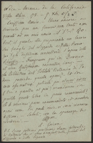 Anteprima dell'oggetto