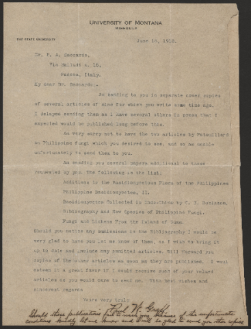 Anteprima dell'oggetto